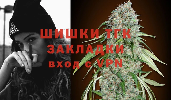 сатива Алексеевка