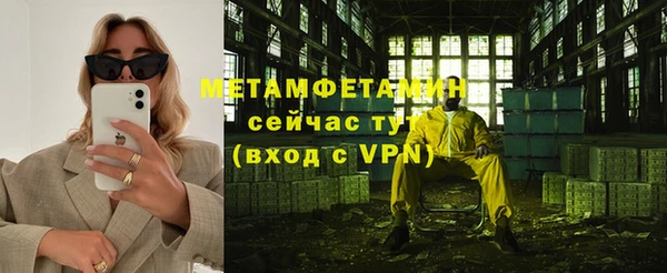 сатива Пересвет