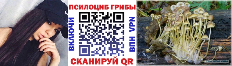 наркошоп  Бакал  Галлюциногенные грибы GOLDEN TEACHER 